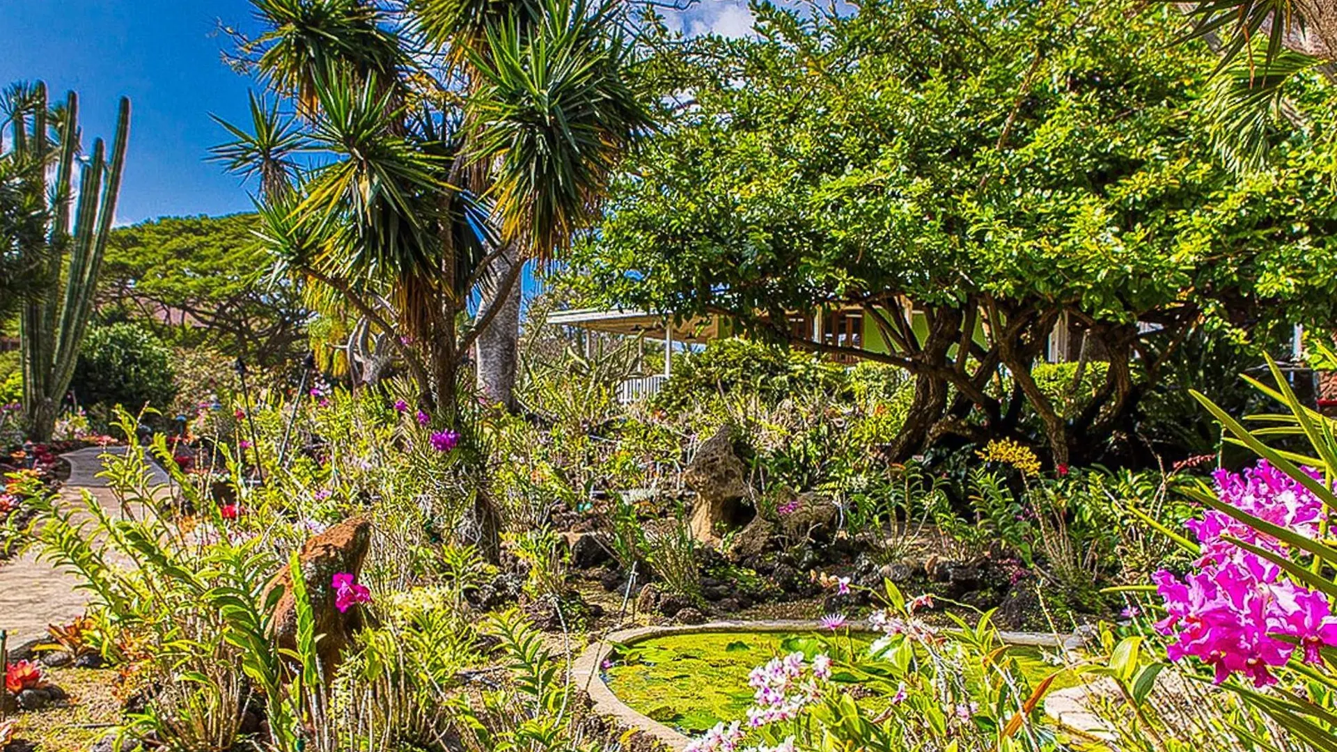 Kiahuna Plantation Koloa 0*,